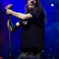 Fuzz club_2011